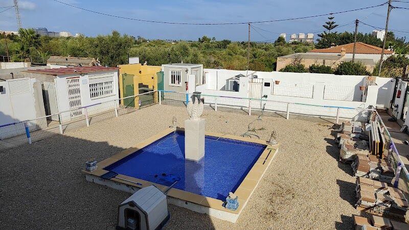 Imagen de Residencia Canina y Felina / Adiestramiento Canino !