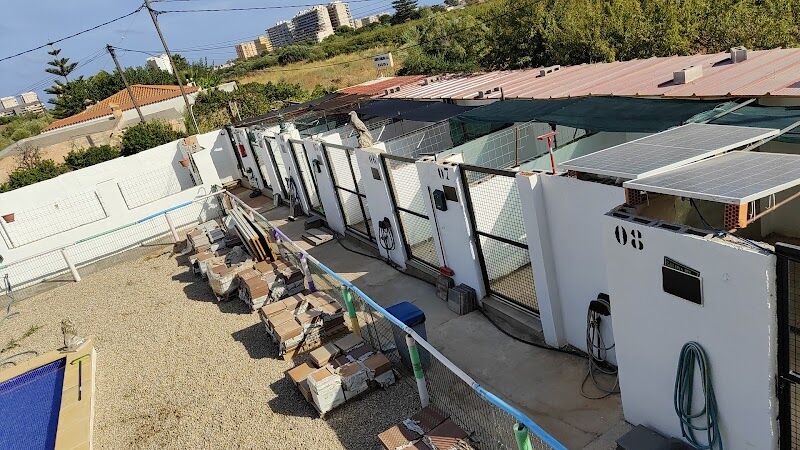 Imagen de Residencia Canina y Felina / Adiestramiento Canino !