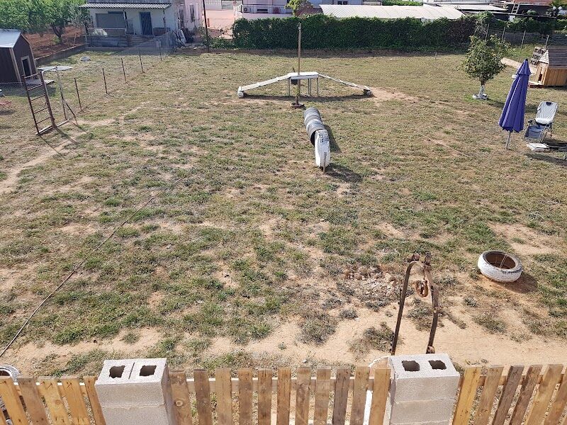 Imagen de Residencia Canina y Felina / Adiestramiento Canino !