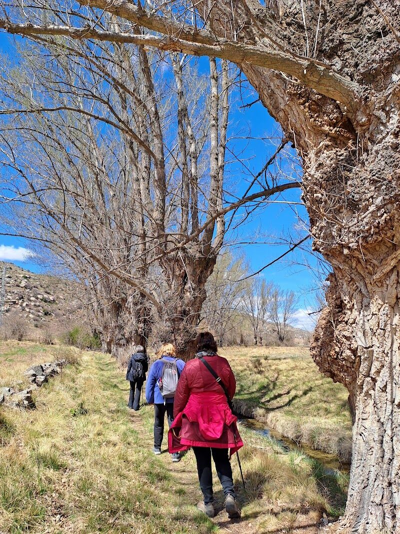 Imagen de negocio en Agencia de viajes en Provincia de Teruel