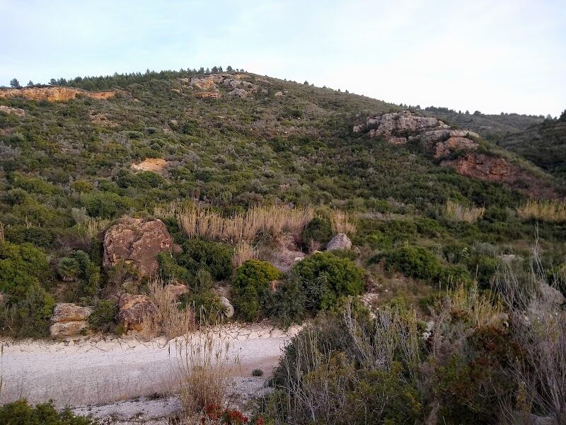 Imagen representativa de la localización