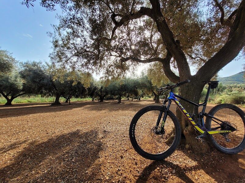 Imagen representativa de la localización