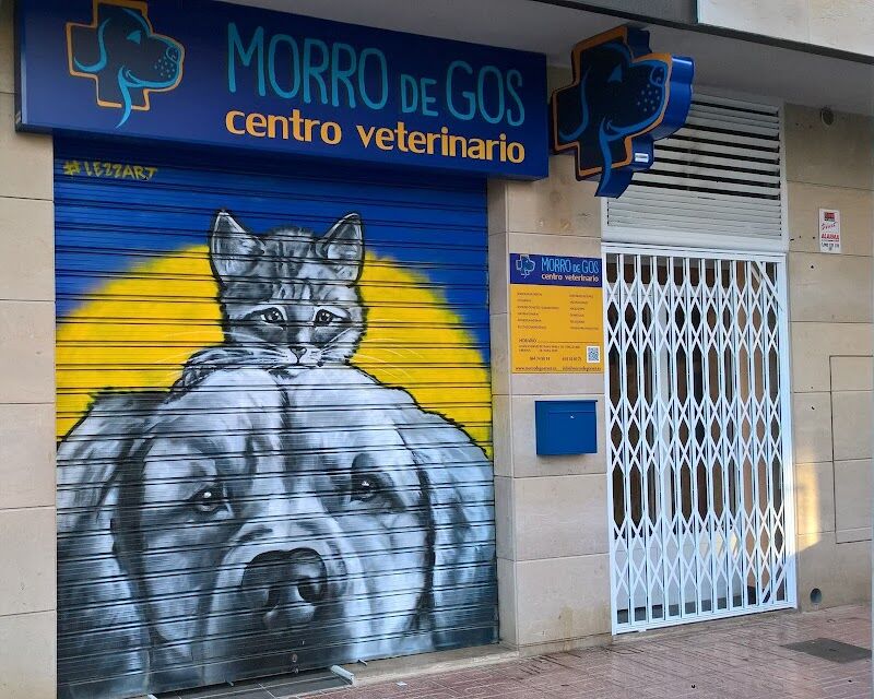 Imagen de negocio en Servicio de vacunación para mascotas en Provincia de Castellón