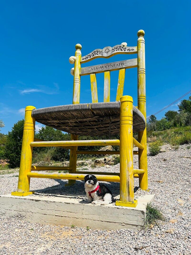 Imagen de Pou de Beca