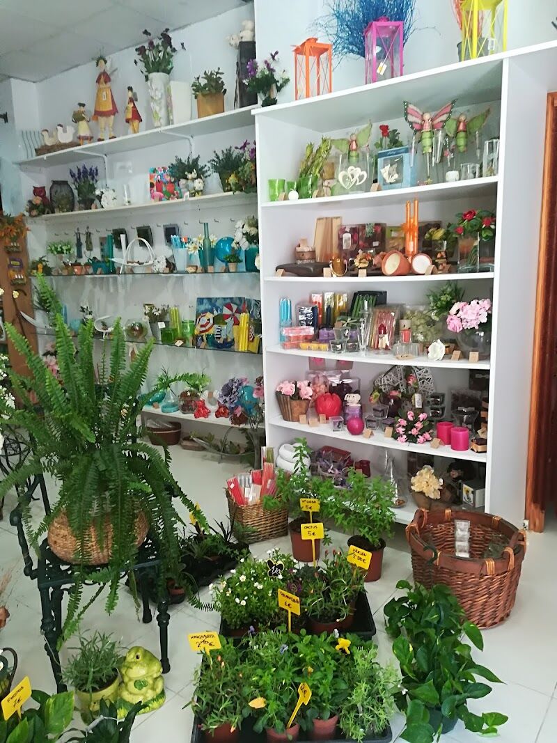 Imagen de negocio en Moda y comercio minorista en Orpesa