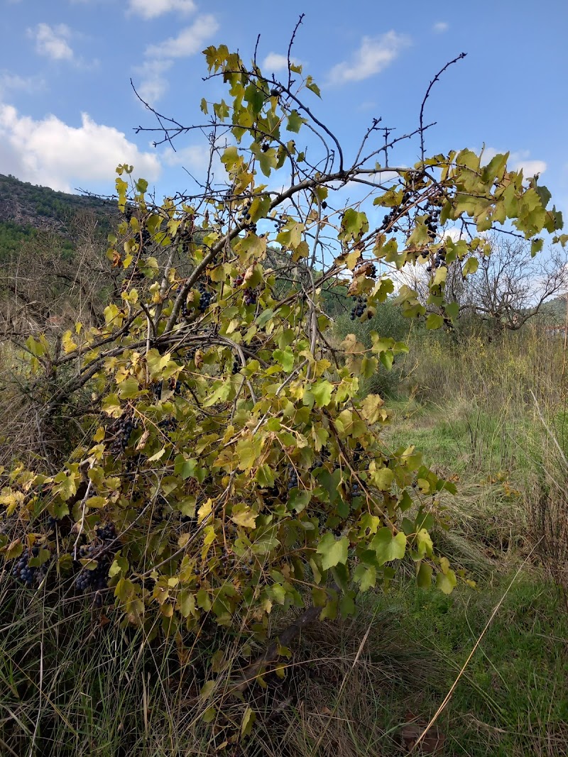 Imagen representativa de la localización