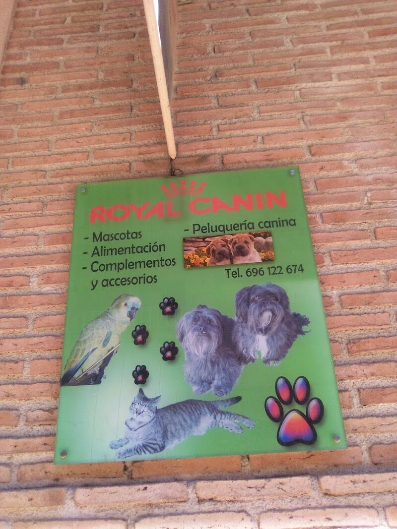 Imagen de negocio en Higiene dental para mascotas en Alcorisa