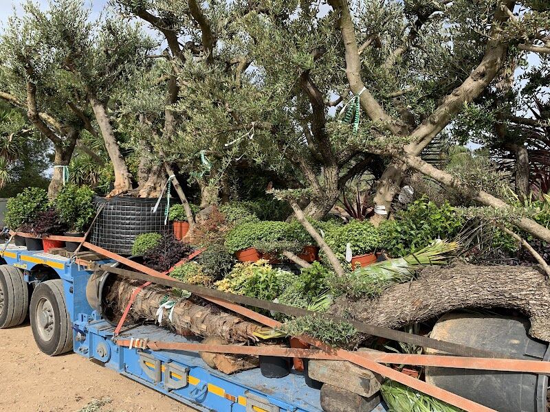 Imagen de negocio en Jardinería en Provincia de Castellón