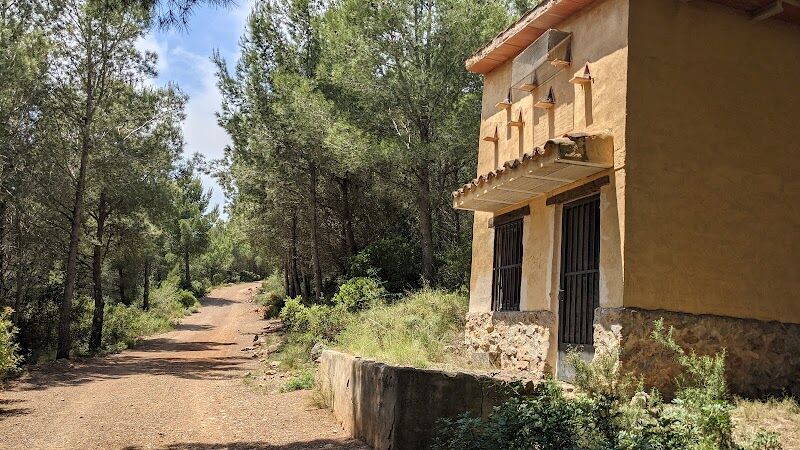 Imagen de negocio en Protectora de animales en Provincia de Castellón