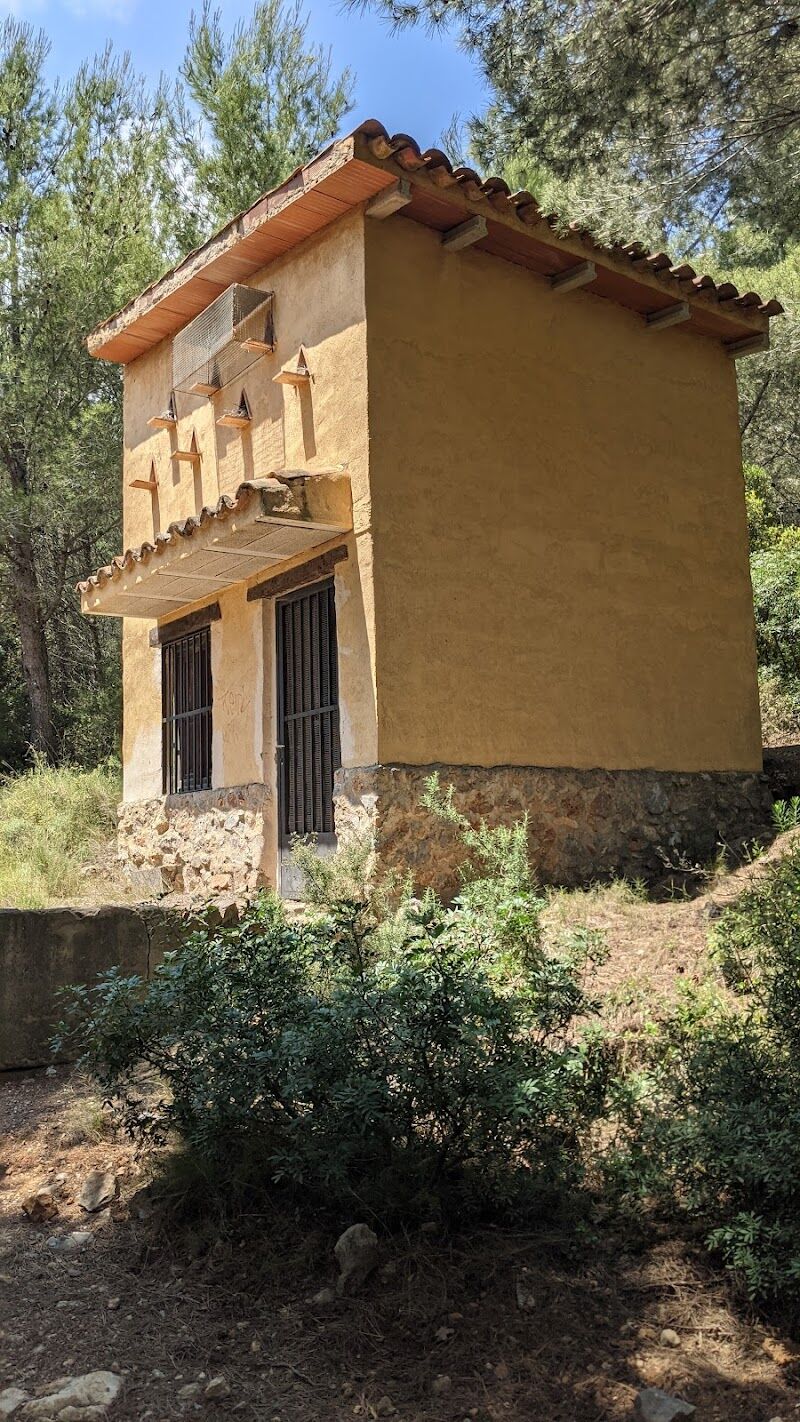 Imagen de negocio en Adopción en Provincia de Castellón