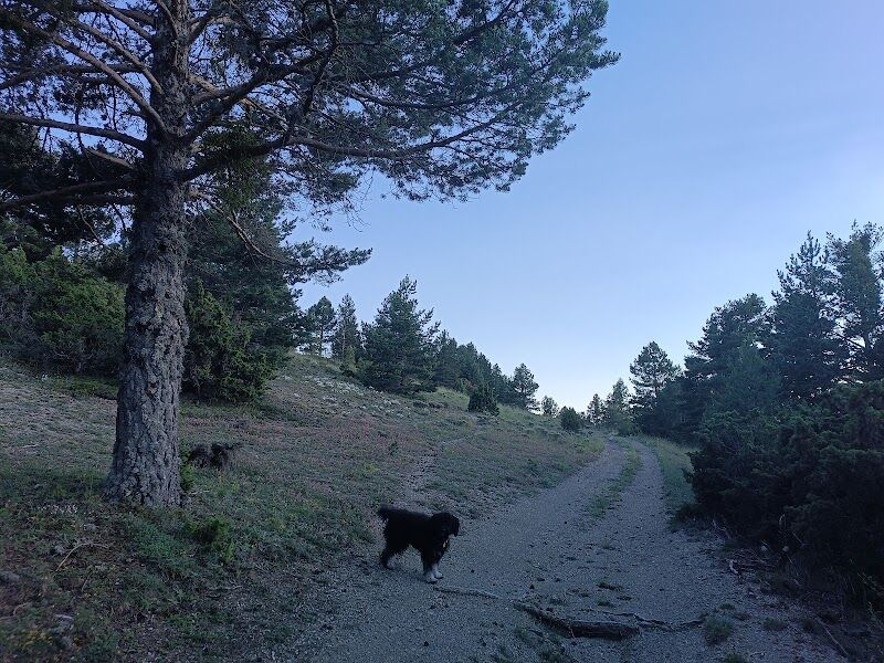 Imagen de negocio en Refugio de animales en La Puebla de Valverde