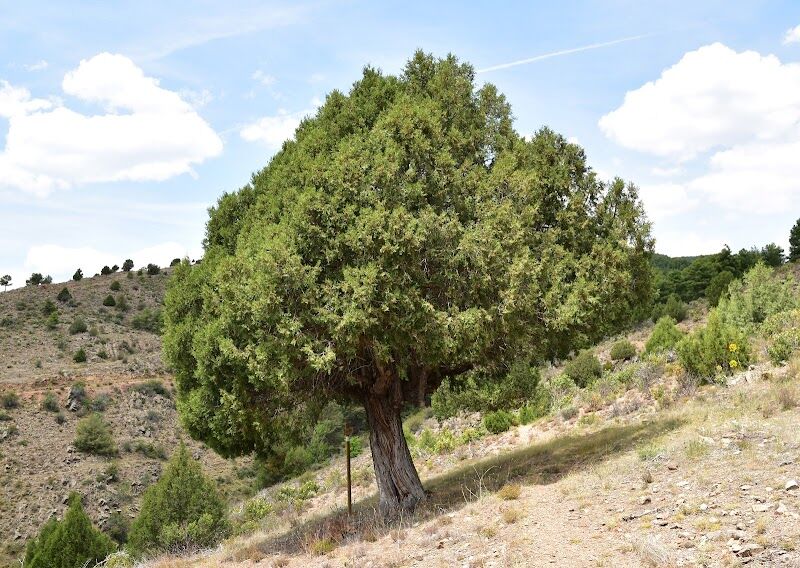 Imagen representativa de la localización