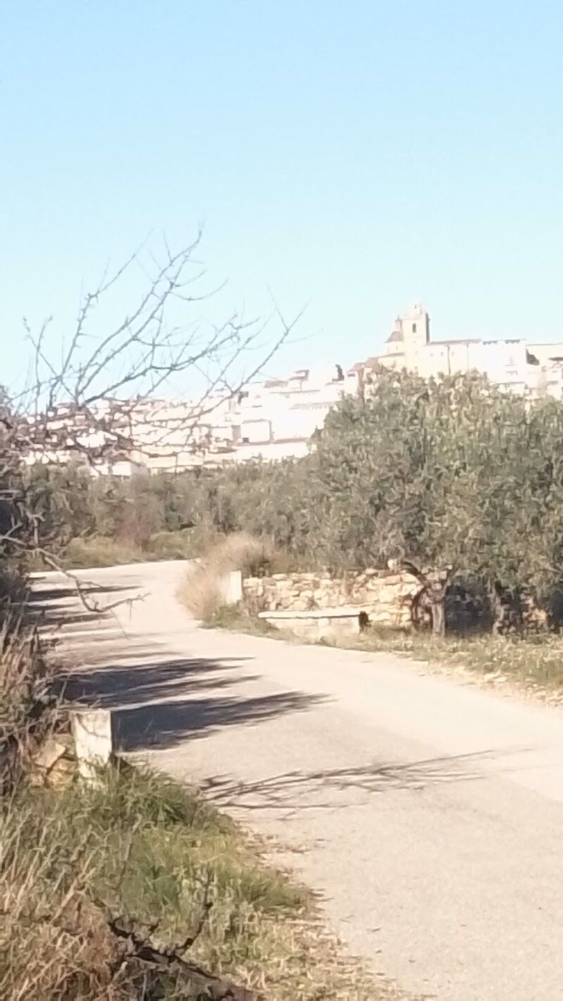 Imagen de negocio en Educación y Comportamiento en Villar del Arzobispo