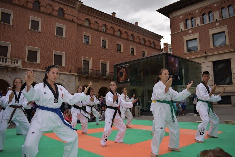 Imagen de negocio en Artes marciales en Teruel
