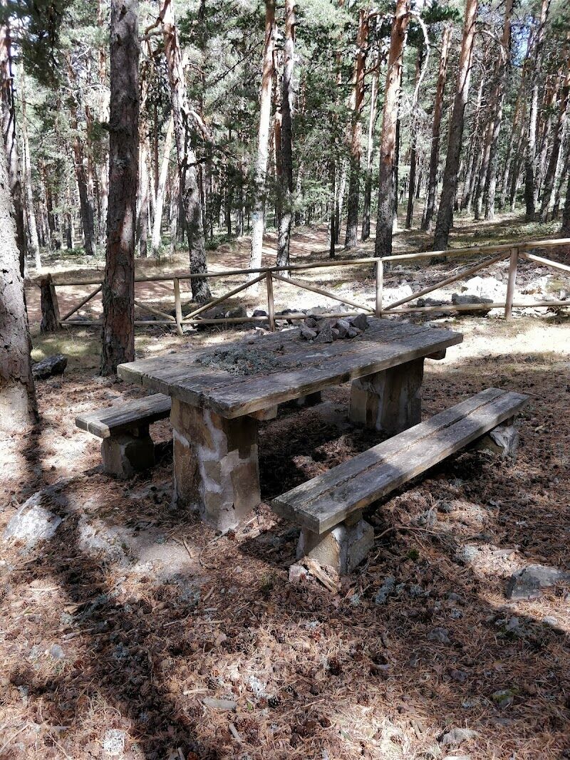 Imagen de negocio en Camping en Provincia de Guadalajara