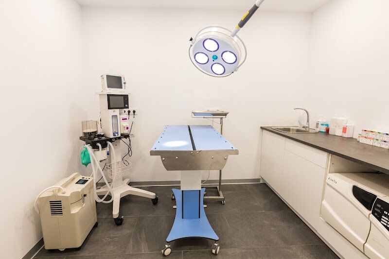 Imagen de Turia Veterinaria