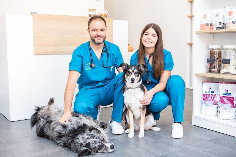 Imagen de Turia Veterinaria