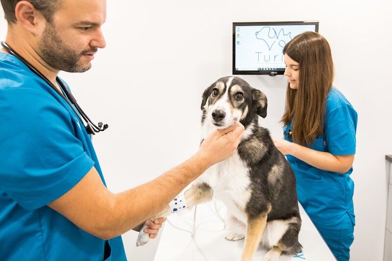 Imagen de Turia Veterinaria