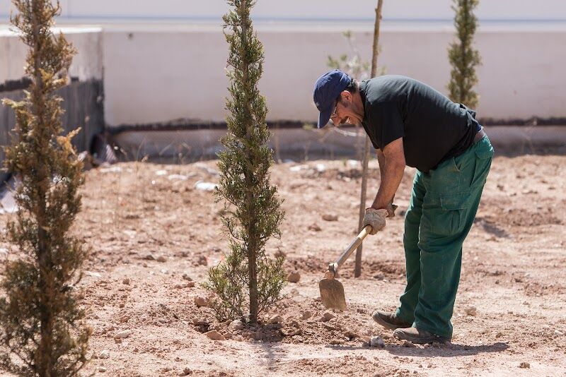 Imagen de negocio en Desinfección en Teruel