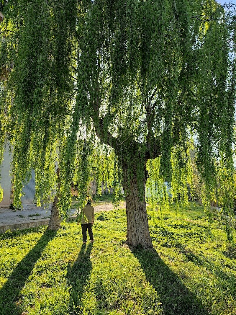 Imagen representativa de la localización