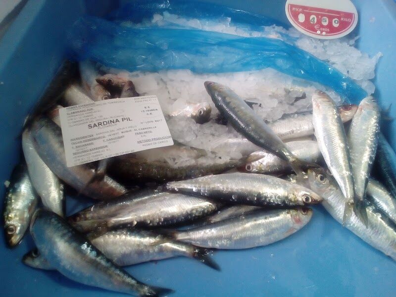 Imagen de Pescadería Juanita