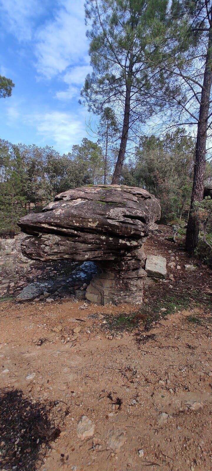 Imagen de negocio en Pintura artística en Provincia de Cuenca