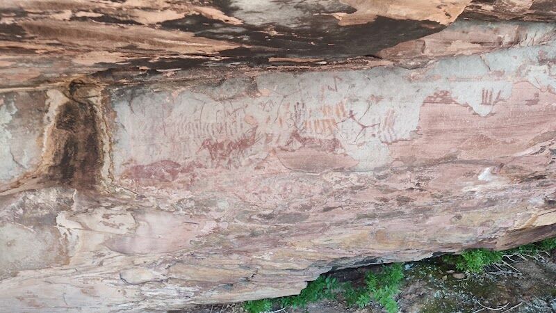Imagen de negocio en Henarejos (Cuenca)