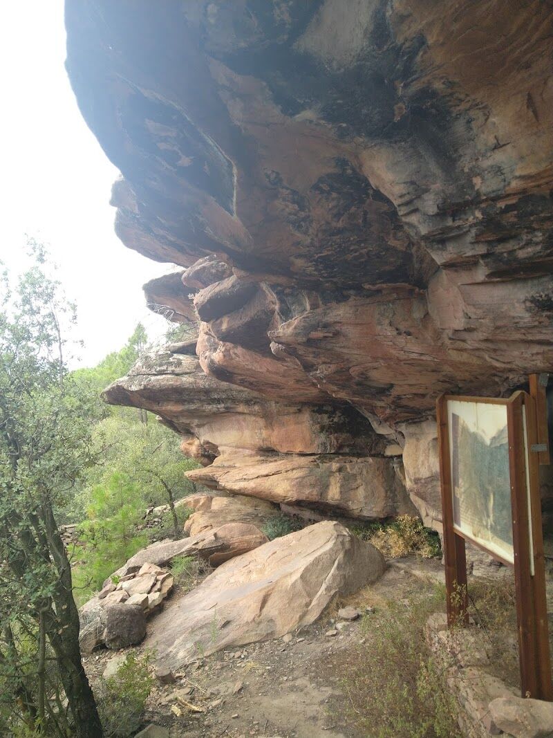 Imagen de negocio en Henarejos (Cuenca)
