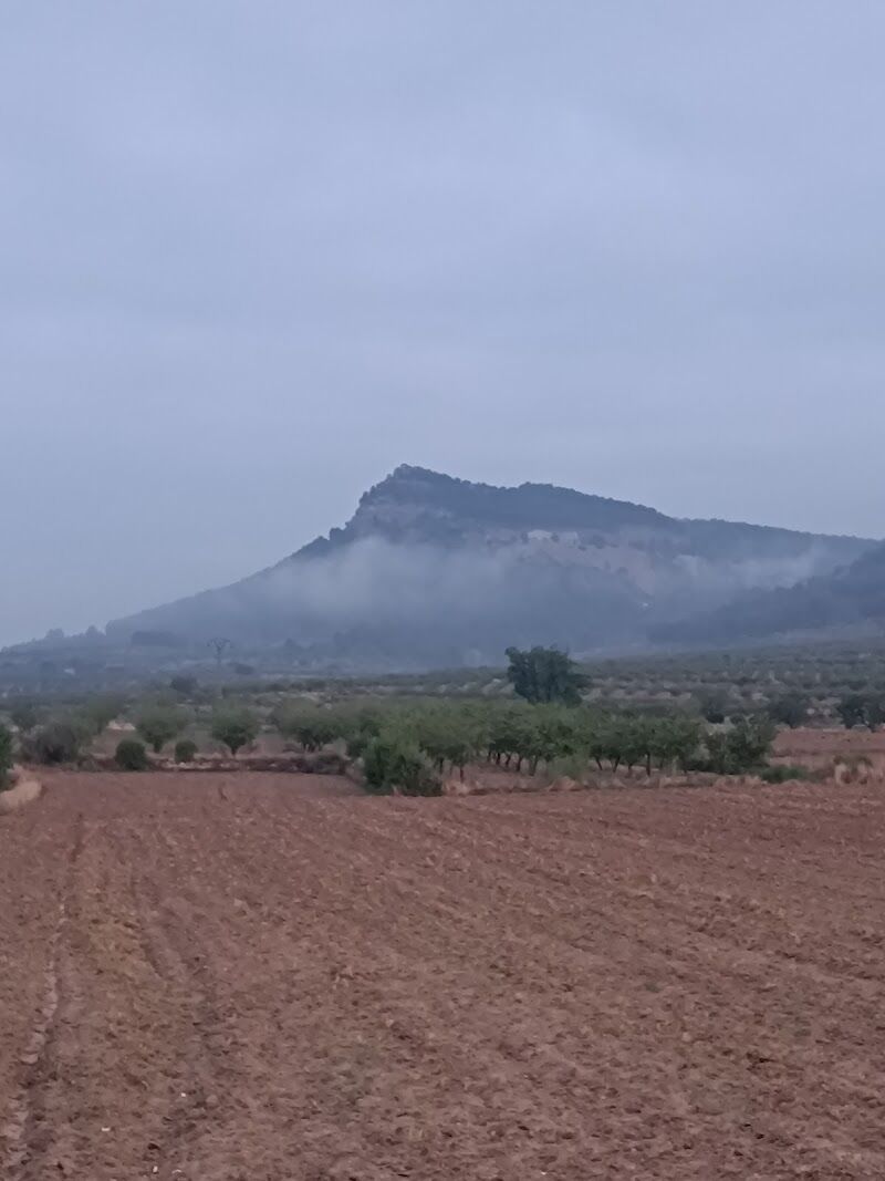 Imagen de negocio en Campo de Arriba (Valencia)