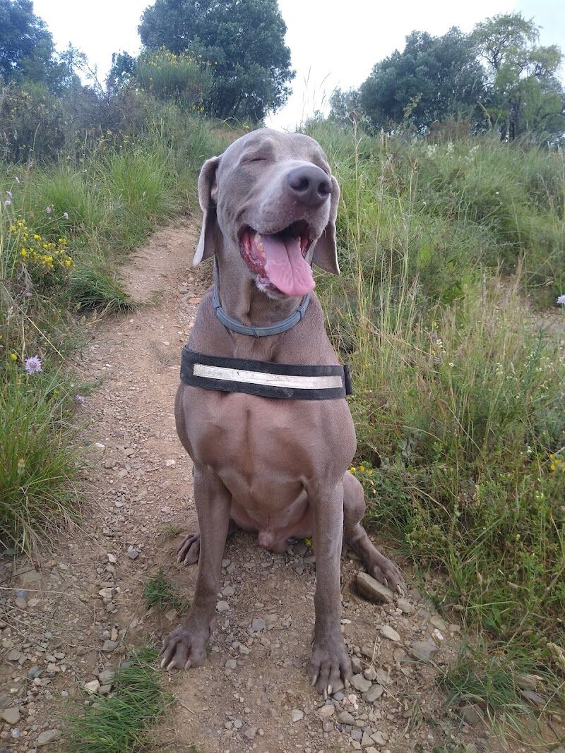 Imagen representativa de la localización