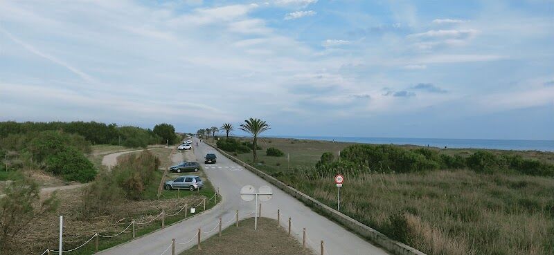 Imagen de negocio en Paseo de perros en El Prat de Llobregat