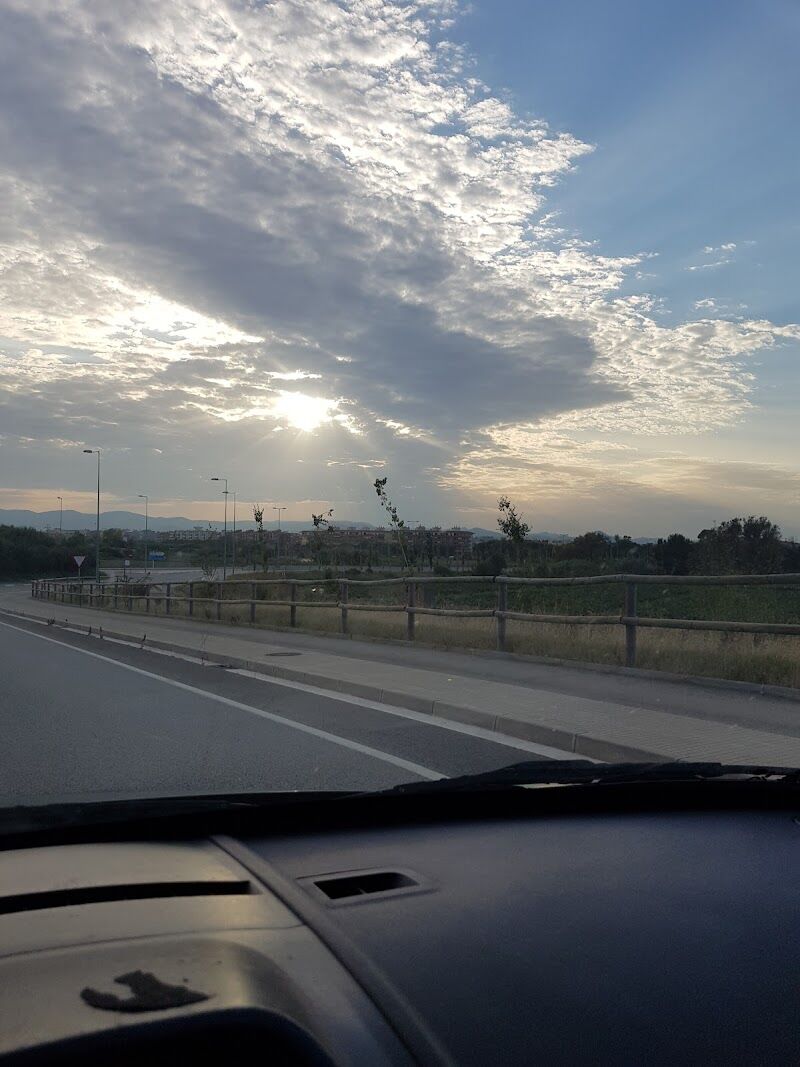 Imagen de negocio en Paseo de perros en El Prat de Llobregat