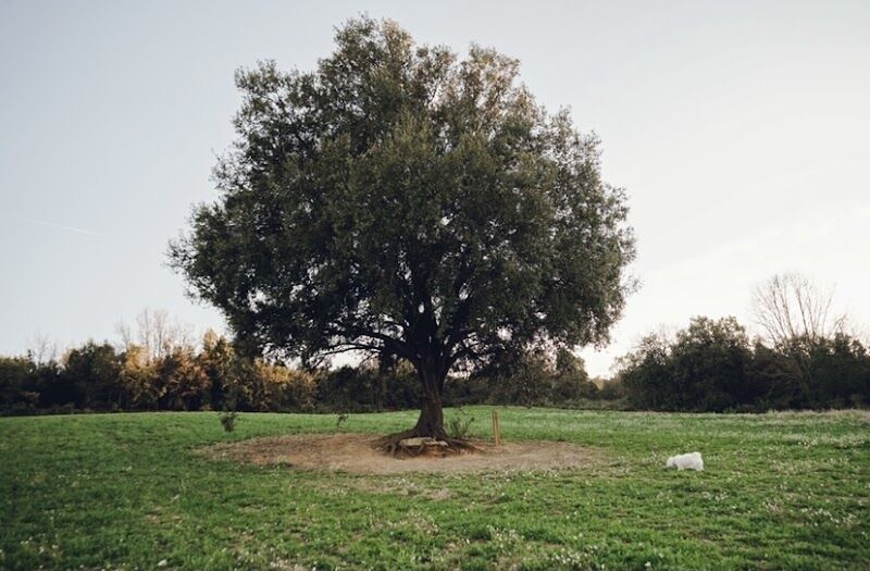 Imagen representativa de la localización