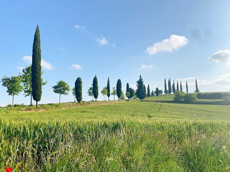 Imagen representativa de la localización