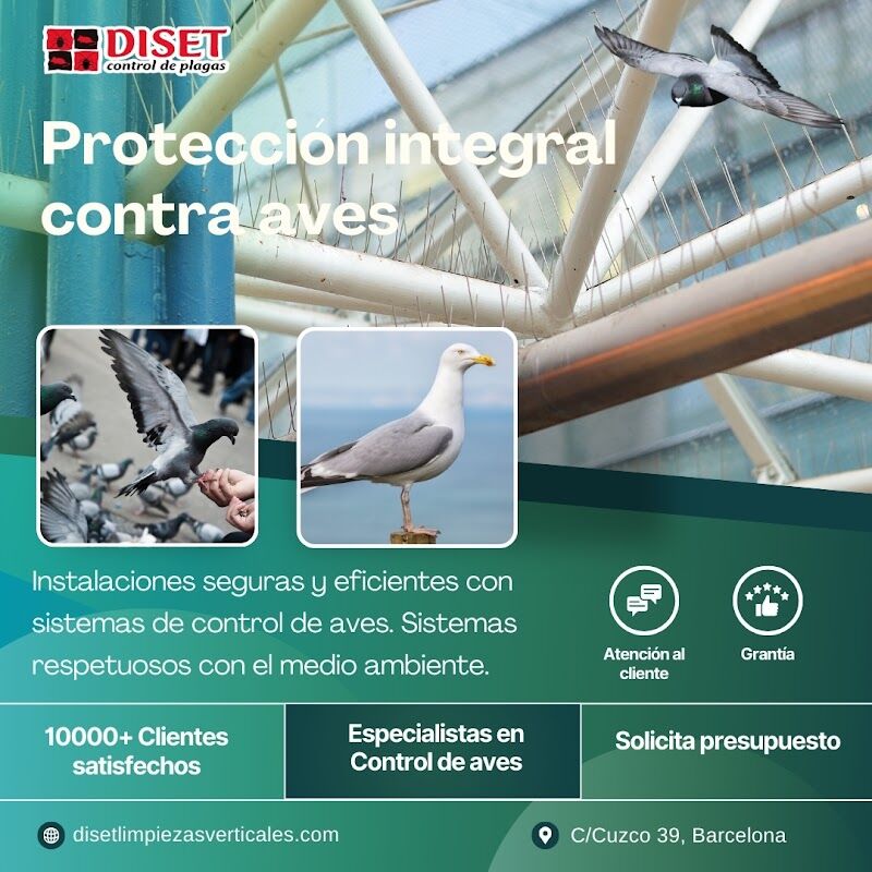 Imagen de Diset Control Plagas Sabadell
