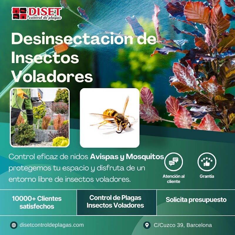 Imagen de Diset Control Plagas Sabadell