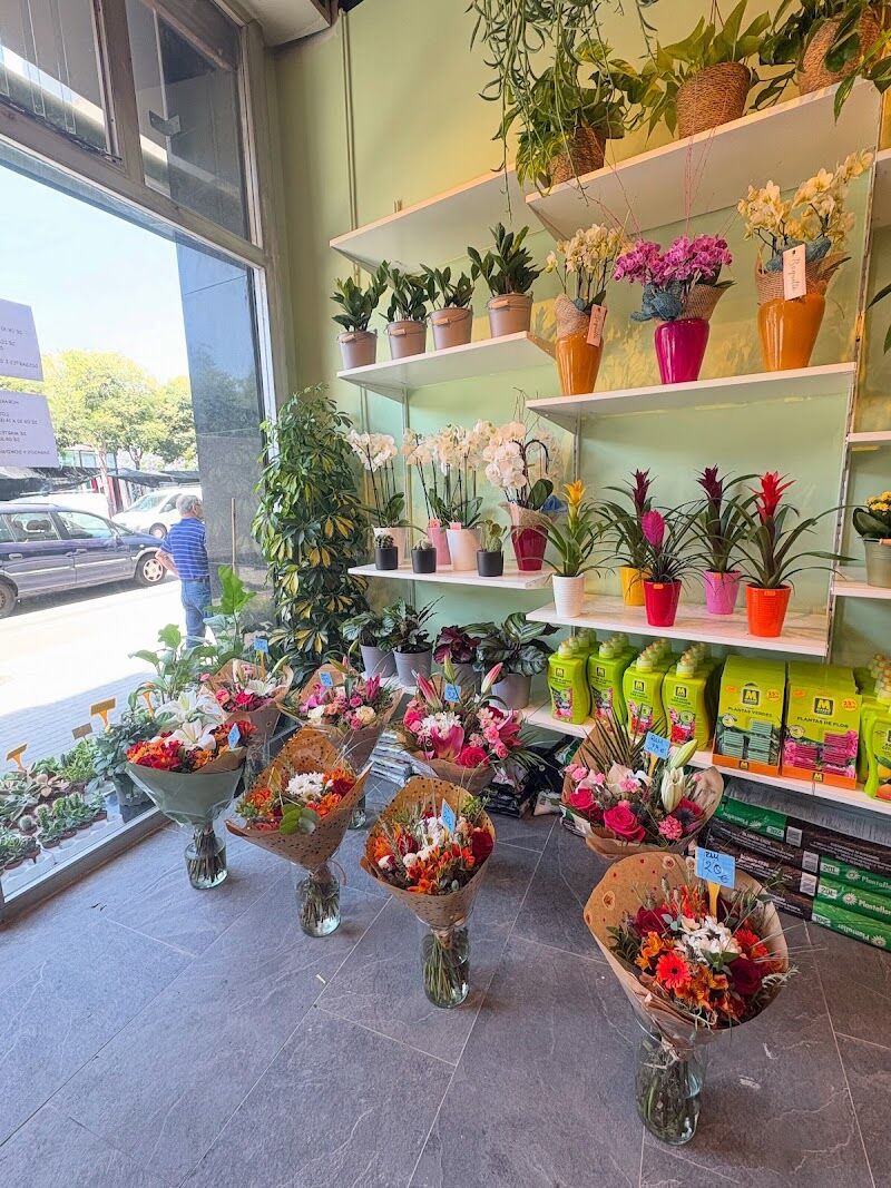 Imagen de negocio en Floristería en L'hospitalet de Llobregat