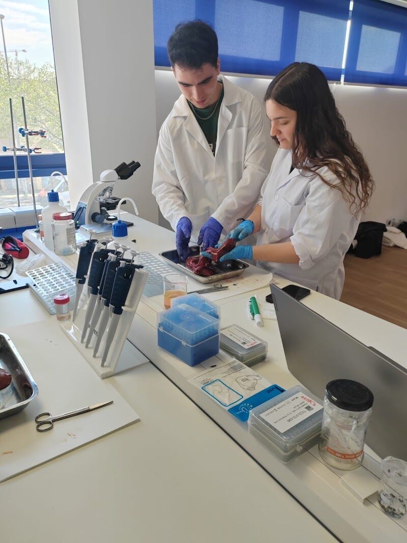 Imagen de Davante Medac Hospitaletð¥ Centro Fp Hospitalet