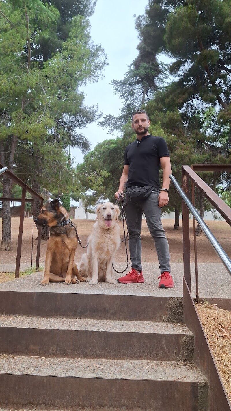 Imagen de negocio en Educación y Comportamiento en Sabadell