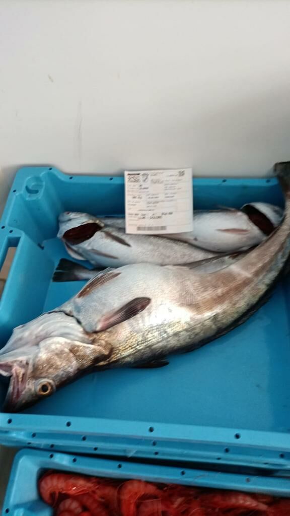 Imagen de negocio en Pescadería en Sant Cugat del Vallès