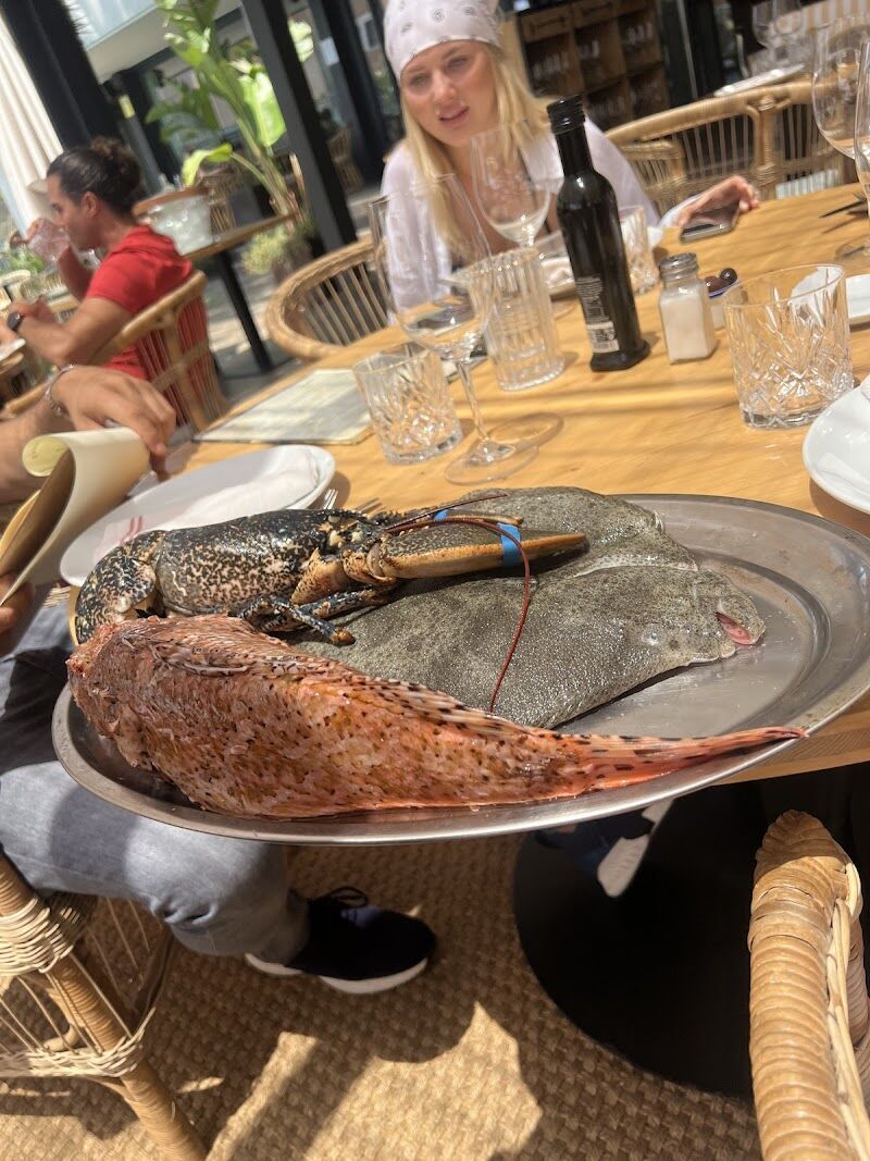 Imagen de negocio en Piscinas y spas en Provincia de Barcelona