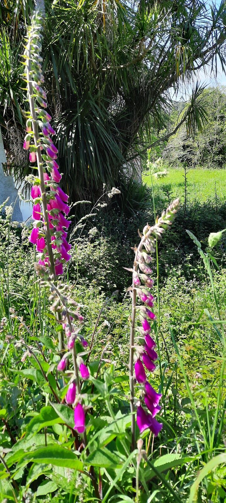 Imagen representativa de la localización