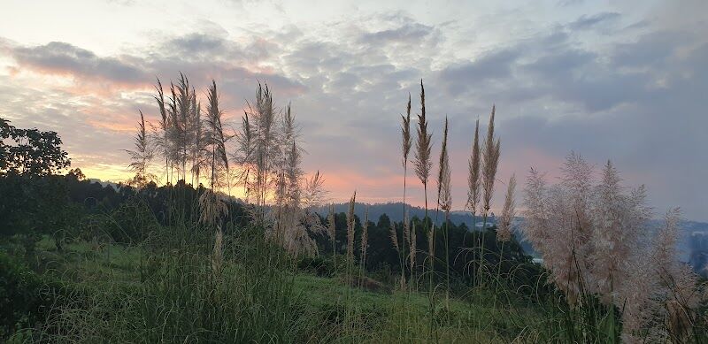 Imagen representativa de la localización