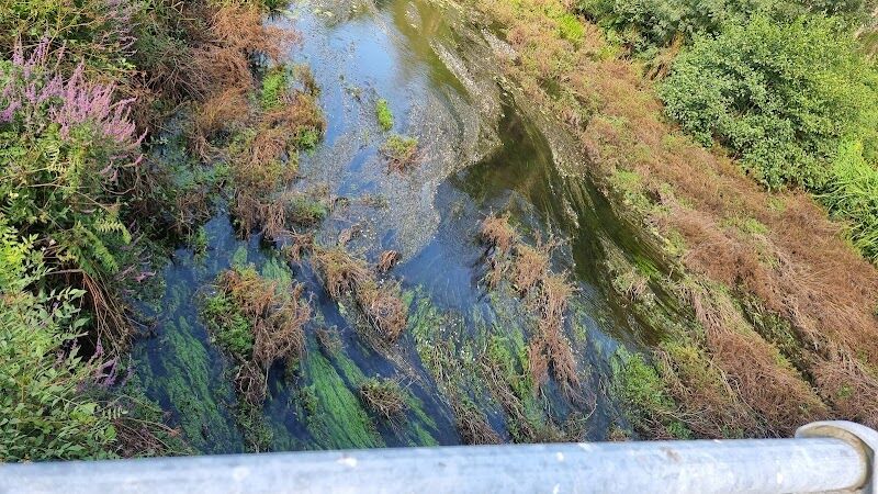 Imagen representativa de la localización