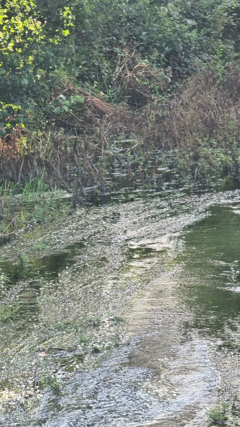 Imagen representativa de la localización