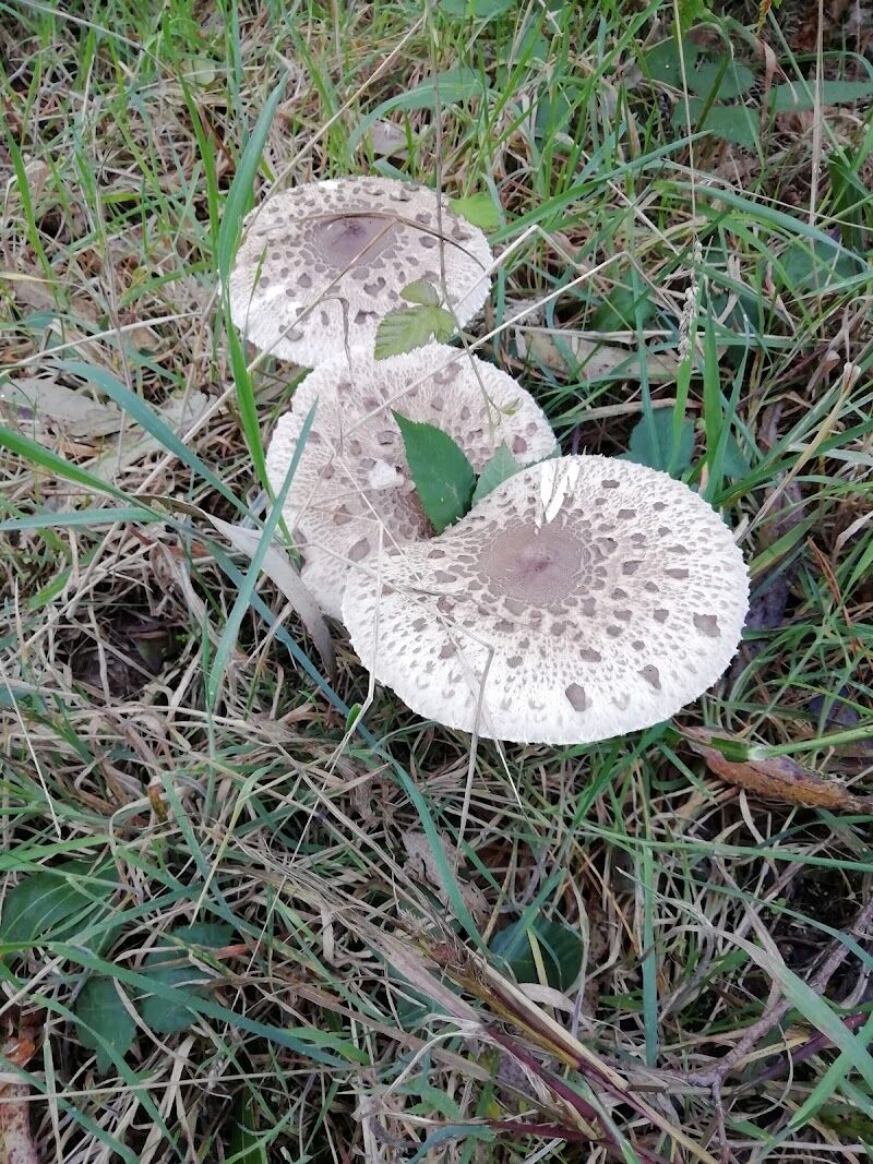 Imagen representativa de la localización