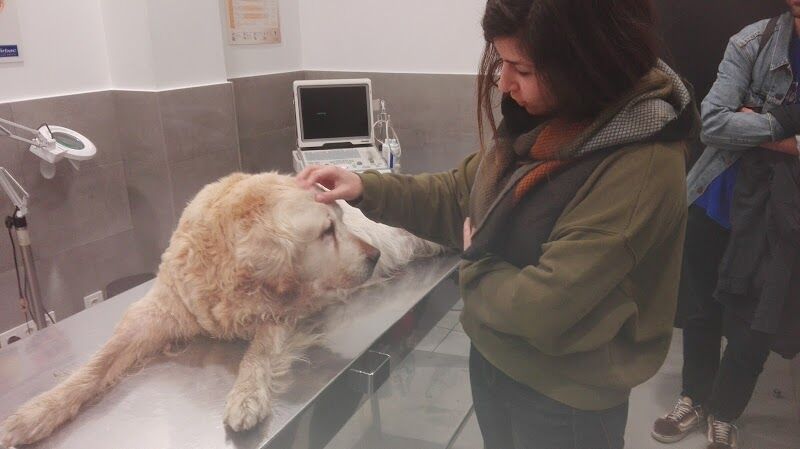 Imagen de negocio en Clínica veterinaria en Carballo