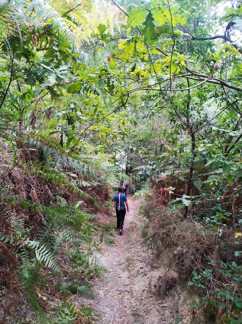Imagen representativa de la localización