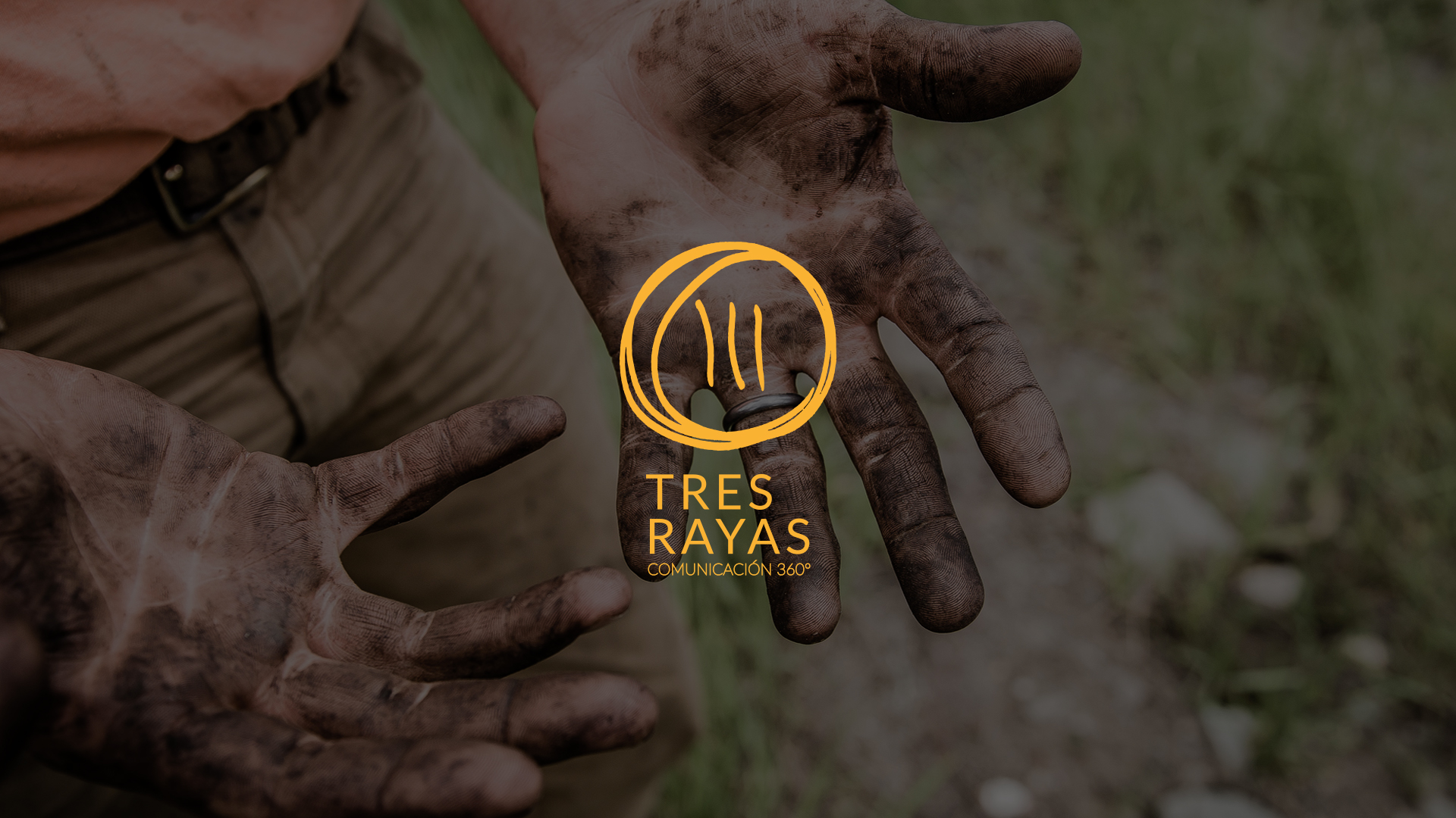 Imagen de Misia Studio