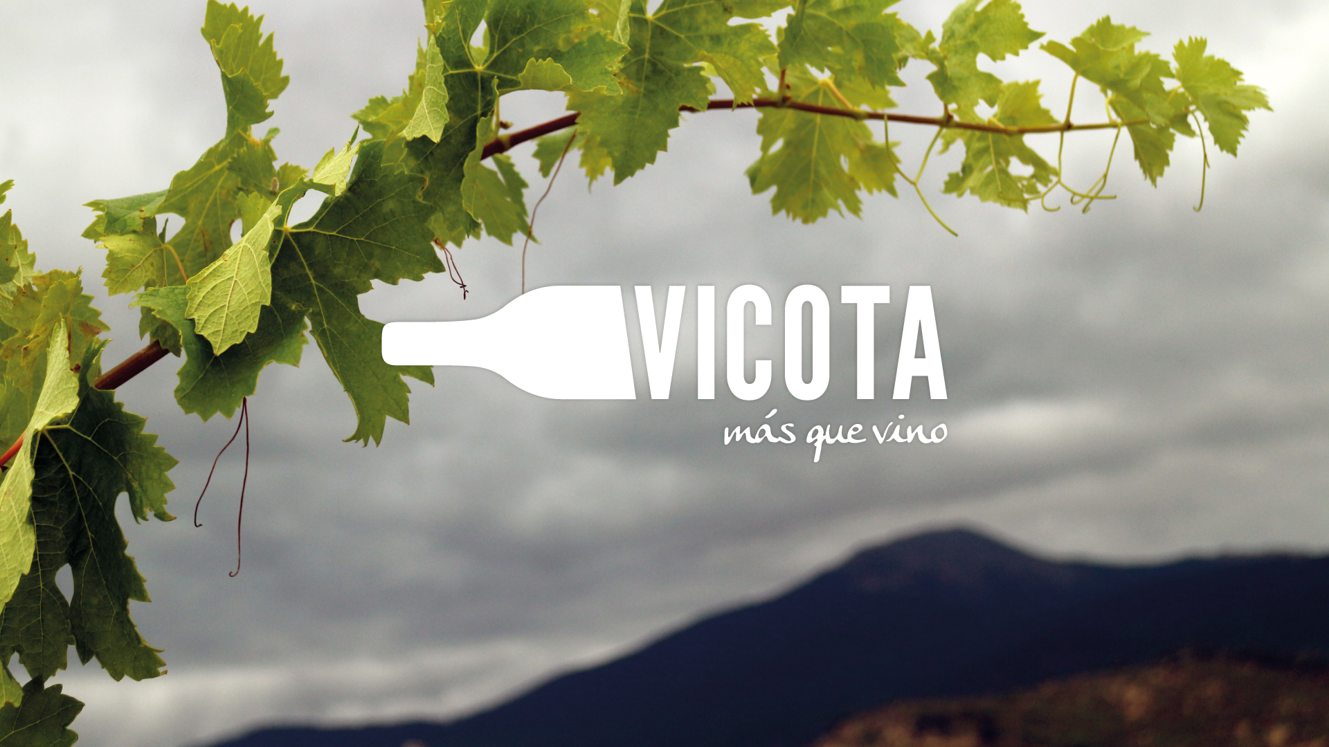 Imagen de Misia Studio